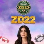 ZD22 game